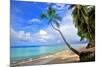 Beach at The Sandpiper Hotel, Holetown, St. James, Barbados, Caribbean-null-Mounted Art Print