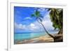 Beach at The Sandpiper Hotel, Holetown, St. James, Barbados, Caribbean-null-Framed Art Print