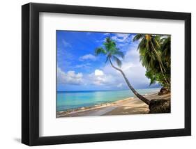 Beach at The Sandpiper Hotel, Holetown, St. James, Barbados, Caribbean-null-Framed Art Print