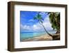 Beach at The Sandpiper Hotel, Holetown, St. James, Barbados, Caribbean-null-Framed Art Print