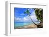 Beach at The Sandpiper Hotel, Holetown, St. James, Barbados, Caribbean-null-Framed Art Print