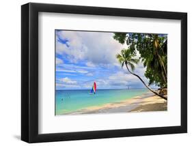 Beach at The Sandpiper Hotel, Holetown, St. James, Barbados, Caribbean-null-Framed Art Print