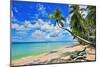 Beach at The Sandpiper Hotel, Holetown, St. James, Barbados, Caribbean-null-Mounted Art Print