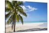 Beach at Treasure Cay, Great Abaco, Abaco Islands, Bahamas, West Indies, Central America-Jane Sweeney-Stretched Canvas