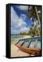 Beach at Trou D'Eau Douce, Flacq, East Coast, Mauritius-Jon Arnold-Framed Stretched Canvas