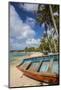 Beach at Trou D'Eau Douce, Flacq, East Coast, Mauritius-Jon Arnold-Mounted Photographic Print