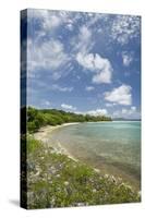 Beach at Well Bay, Beef Island, Tortola, British Virgin Islands-Macduff Everton-Stretched Canvas