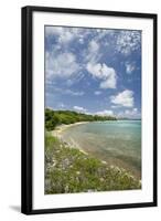 Beach at Well Bay, Beef Island, Tortola, British Virgin Islands-Macduff Everton-Framed Photographic Print