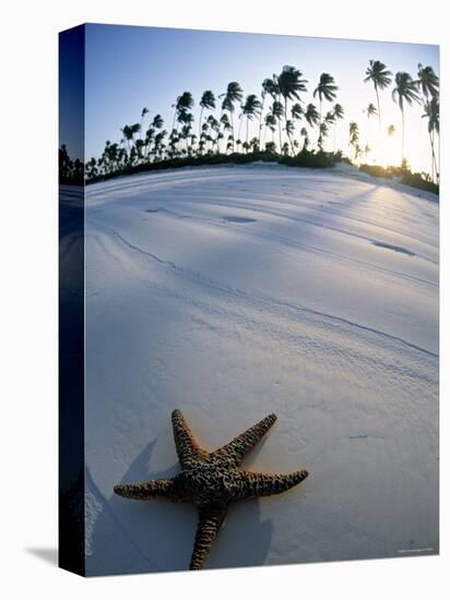 Beach at Zanzibar, Tanzania-Peter Adams-Stretched Canvas