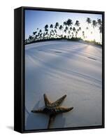 Beach at Zanzibar, Tanzania-Peter Adams-Framed Stretched Canvas