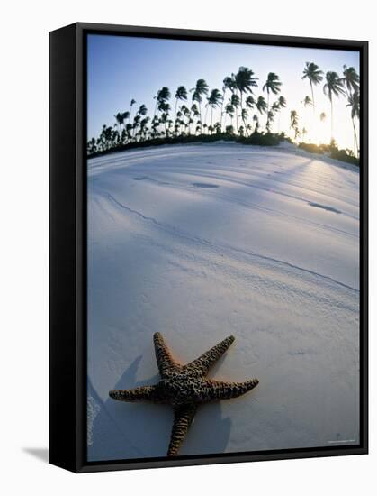 Beach at Zanzibar, Tanzania-Peter Adams-Framed Stretched Canvas