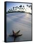 Beach at Zanzibar, Tanzania-Peter Adams-Framed Stretched Canvas