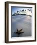 Beach at Zanzibar, Tanzania-Peter Adams-Framed Premium Photographic Print