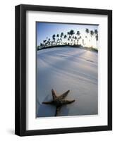 Beach at Zanzibar, Tanzania-Peter Adams-Framed Premium Photographic Print