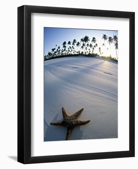 Beach at Zanzibar, Tanzania-Peter Adams-Framed Premium Photographic Print