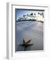 Beach at Zanzibar, Tanzania-Peter Adams-Framed Premium Photographic Print