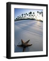 Beach at Zanzibar, Tanzania-Peter Adams-Framed Photographic Print