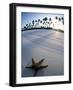 Beach at Zanzibar, Tanzania-Peter Adams-Framed Photographic Print