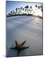 Beach at Zanzibar, Tanzania-Peter Adams-Mounted Photographic Print