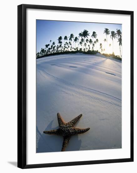 Beach at Zanzibar, Tanzania-Peter Adams-Framed Photographic Print