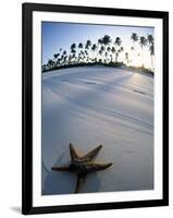 Beach at Zanzibar, Tanzania-Peter Adams-Framed Photographic Print