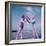 Beach Babes and Ball-null-Framed Photographic Print