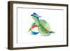 Beach Ball Turtle-Lanie Loreth-Framed Art Print