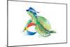 Beach Ball Turtle-Lanie Loreth-Mounted Art Print