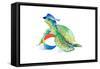 Beach Ball Turtle-Lanie Loreth-Framed Stretched Canvas