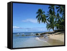 Beach, Barbados, West Indies, Caribbean, Central America-Harding Robert-Framed Stretched Canvas