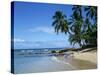 Beach, Barbados, West Indies, Caribbean, Central America-Harding Robert-Stretched Canvas