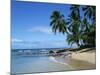 Beach, Barbados, West Indies, Caribbean, Central America-Harding Robert-Mounted Photographic Print