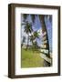 Beach, Bathsheba, St. Joseph, Barbados, West Indies, Caribbean, Central America-Frank Fell-Framed Photographic Print