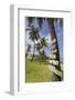 Beach, Bathsheba, St. Joseph, Barbados, West Indies, Caribbean, Central America-Frank Fell-Framed Photographic Print