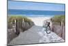 Beach Bike 2-Zhen-Huan Lu-Mounted Giclee Print