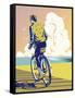 Beach Bike-David Chestnutt-Framed Stretched Canvas