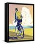 Beach Bike-David Chestnutt-Framed Stretched Canvas