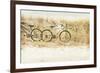 Beach Bikes-Mary Lou Johnson-Framed Photo