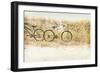 Beach Bikes-Mary Lou Johnson-Framed Photo