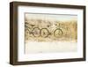 Beach Bikes-Mary Lou Johnson-Framed Photo