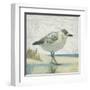 Beach Bird I-James Wiens-Framed Art Print