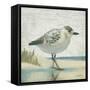 Beach Bird I-James Wiens-Framed Stretched Canvas