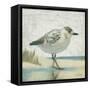 Beach Bird I-James Wiens-Framed Stretched Canvas