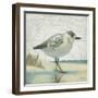 Beach Bird I-James Wiens-Framed Art Print