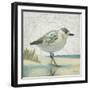 Beach Bird I-James Wiens-Framed Art Print