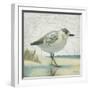 Beach Bird I-James Wiens-Framed Art Print