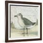 Beach Bird II-James Wiens-Framed Art Print