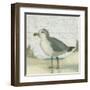 Beach Bird II-James Wiens-Framed Art Print