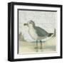 Beach Bird II-James Wiens-Framed Art Print