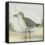 Beach Bird II-James Wiens-Framed Stretched Canvas